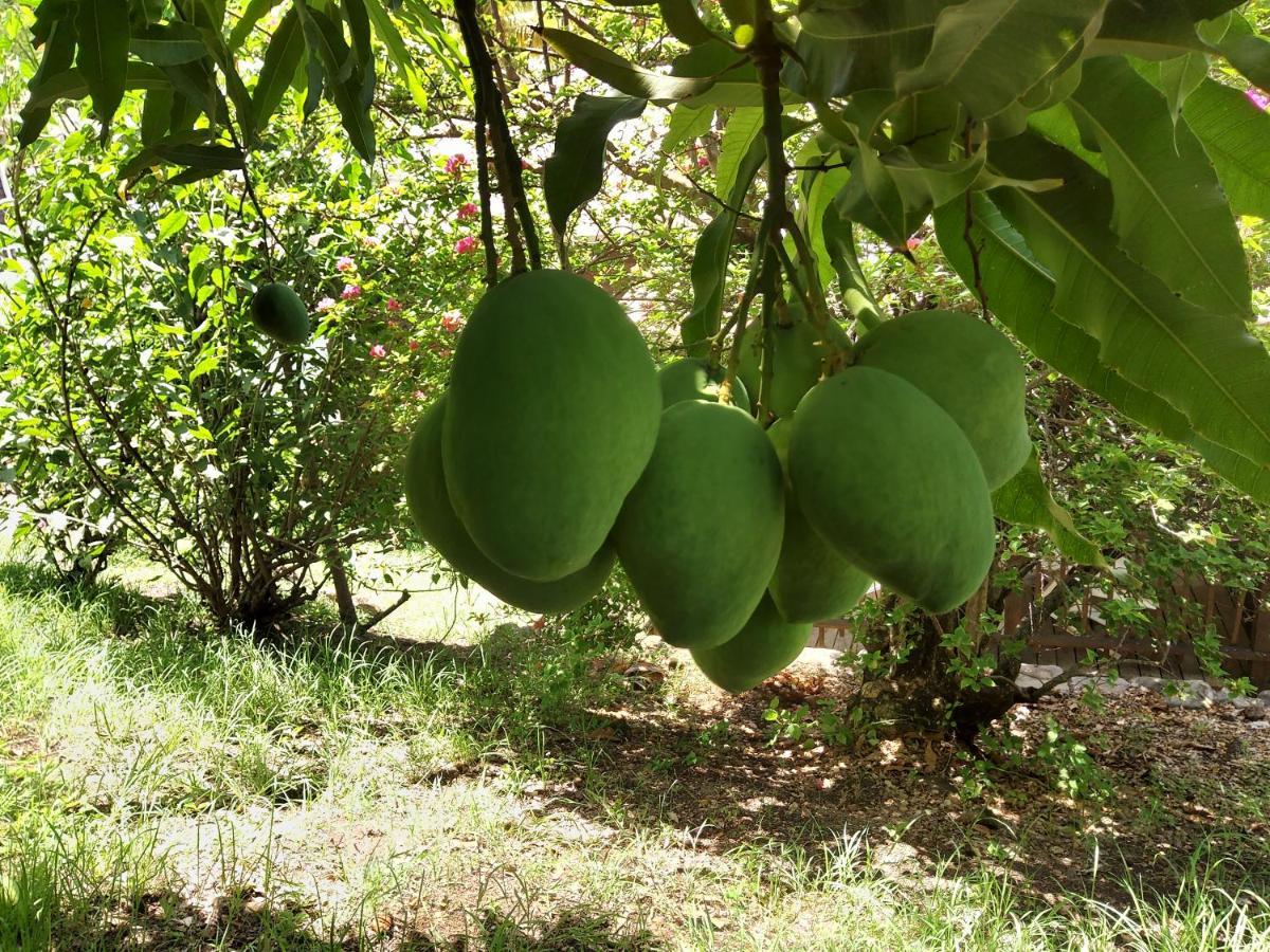 Les Gites Du Domaine De Petite-Anse 波尔兰特 外观 照片